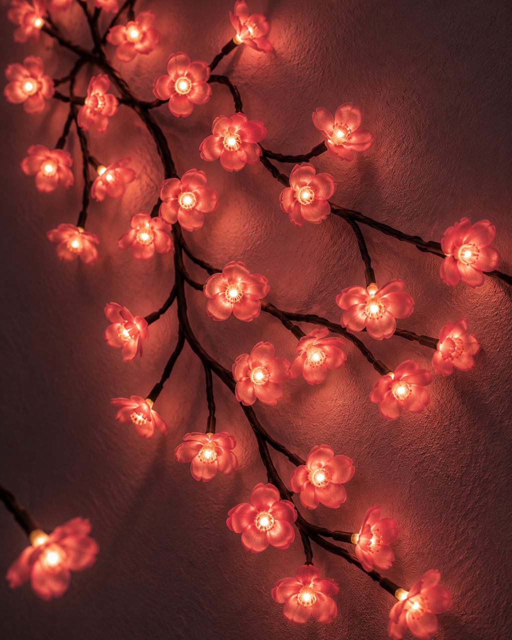 Close-up of Sero pink blossoms and warm lights